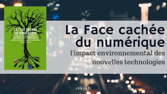 «La face cachée du numérique» de Fabrice Flipo